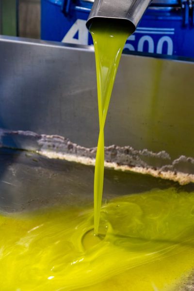 produzione-olio